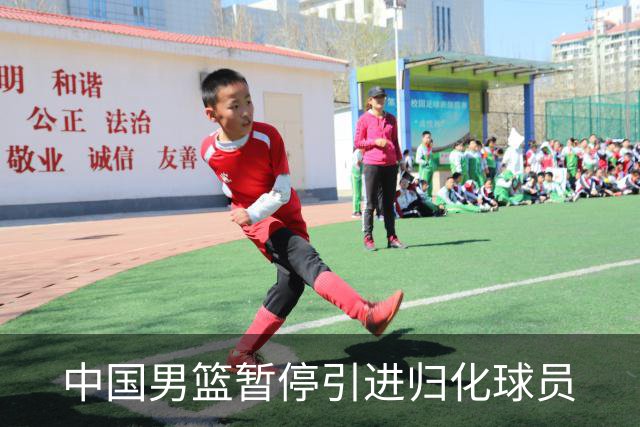 中国男篮暂停引进归化球员
