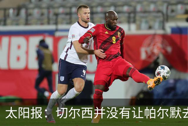 太阳报：切尔西并没有让帕尔默去游说罗杰斯，但两人感情很好