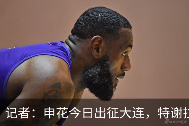 记者：申花今日出征大连，特谢拉、米内罗、李可因伤无法出战