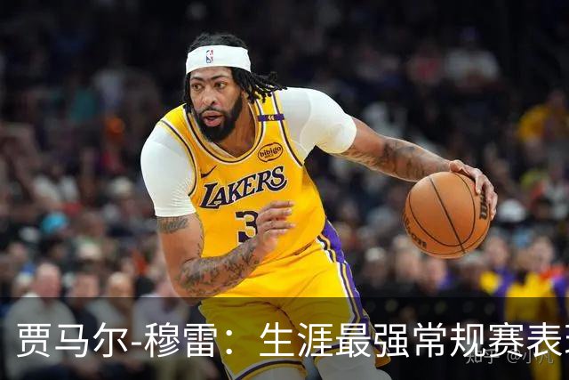 贾马尔-穆雷：生涯最强常规赛表现（球员赛季分析）常规赛篇